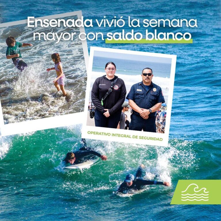 WhatsApp Image 2026-04-05 at 10.36.35 PM