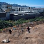 WhatsApp Image 2026-04-05 at 3.46.32 PM (2)