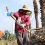 WhatsApp Image 2026-04-07 at 2.40.27 PM