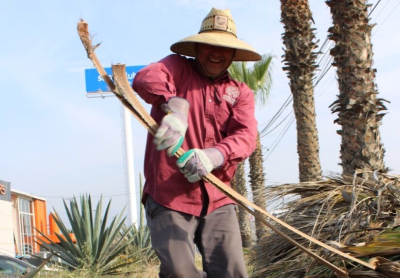 WhatsApp Image 2026-04-07 at 2.40.27 PM