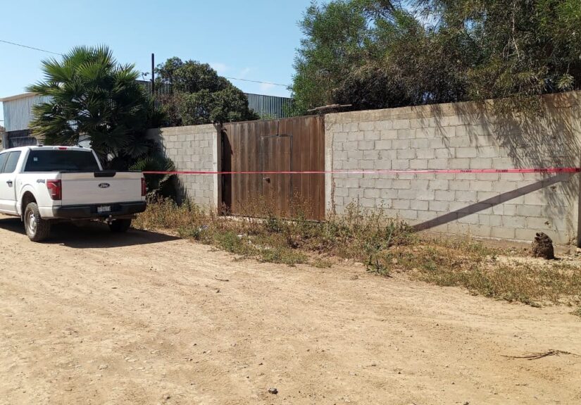 WhatsApp Image 2026-04-08 at 8.30.52 PM