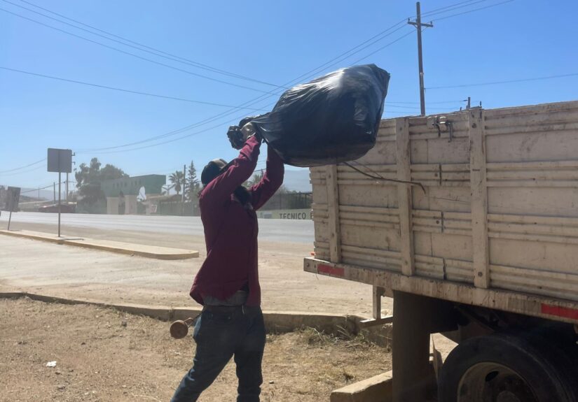 WhatsApp Image 2026-04-13 at 2.08.32 PM (3)