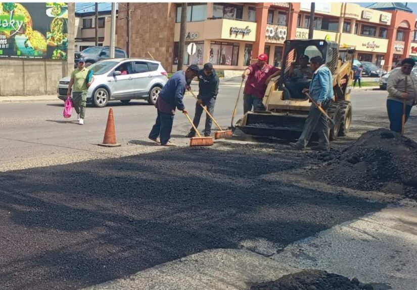 WhatsApp Image 2026-04-13 at 2.08.33 PM