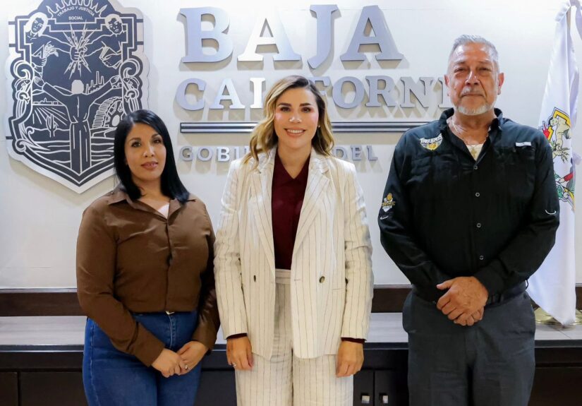 WhatsApp Image 2026-04-14 at 5.23.09 PM