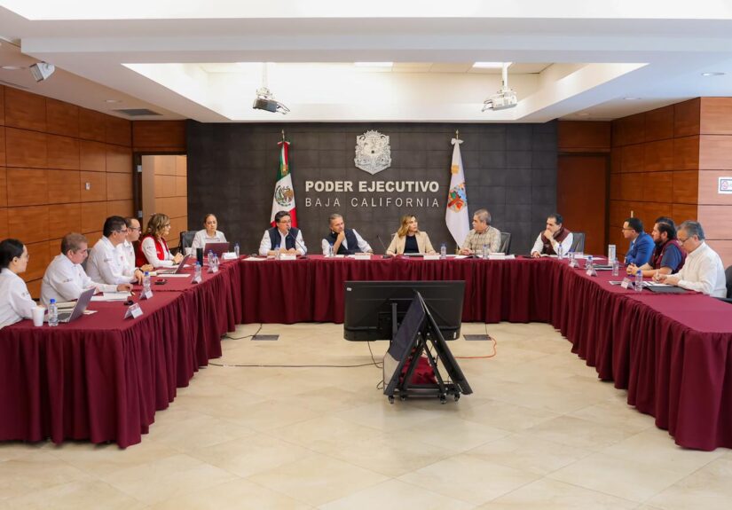 WhatsApp Image 2026-04-16 at 4.19.40 PM