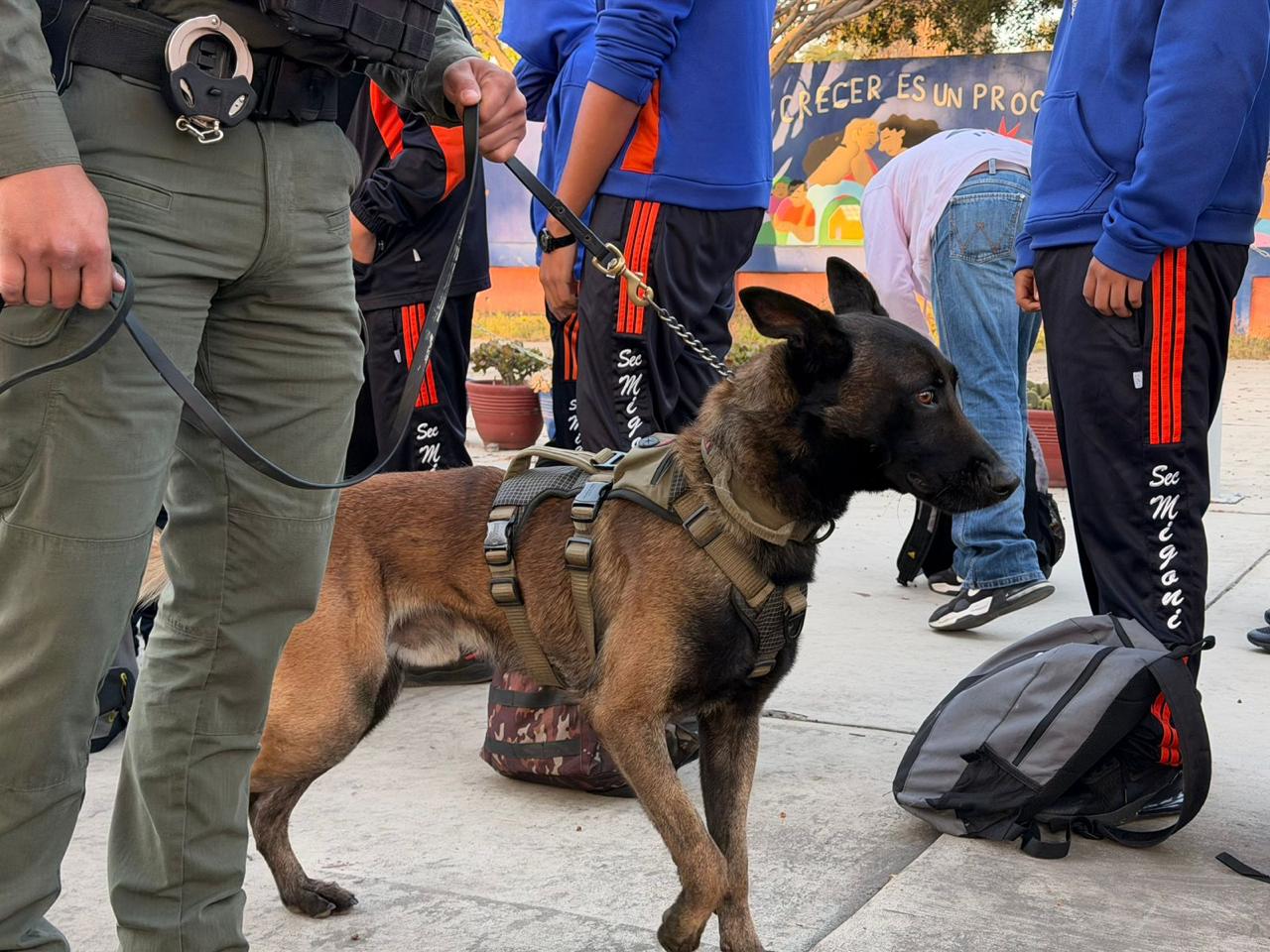 WhatsApp Image 2026-04-17 at 1.06.01 PM