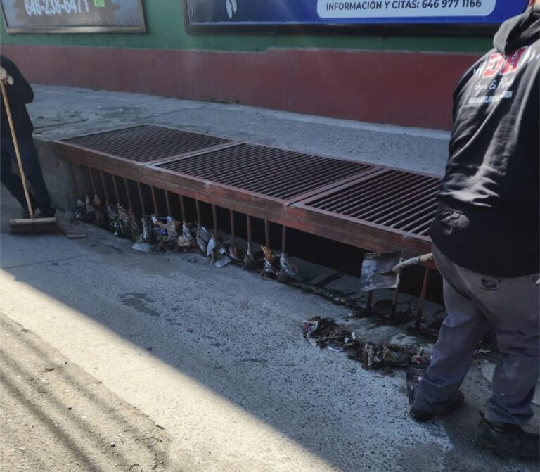 WhatsApp Image 2026-04-18 at 6.36.46 PM