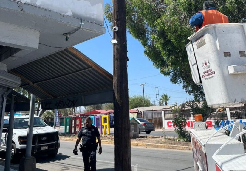 WhatsApp Image 2026-04-21 at 6.32.27 PM (1)