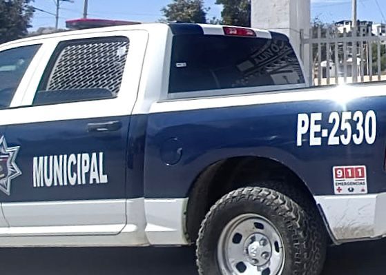 WhatsApp Image 2026-04-23 at 5.21.54 PM