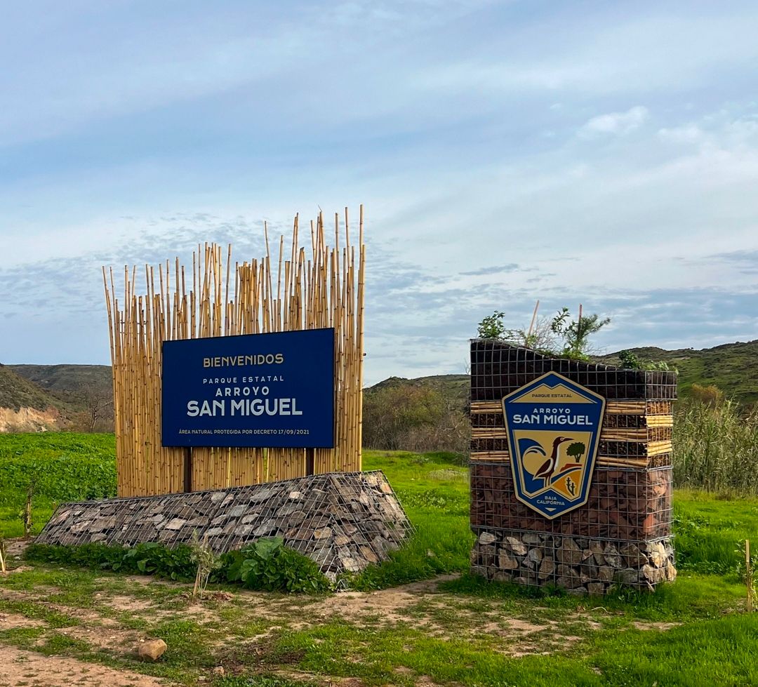 WhatsApp Image 2026-04-23 at 8.05.16 PM