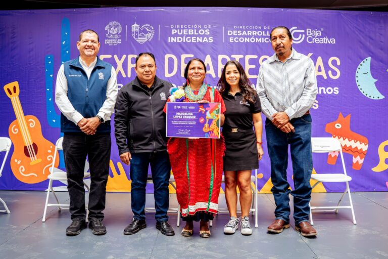 WhatsApp Image 2026-04-25 at 1.10.16 PM (1)