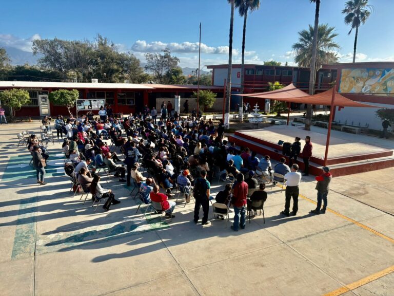 WhatsApp Image 2026-04-25 at 1.10.16 PM