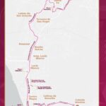 WhatsApp Image 2026-04-25 at 1.25.01 PM