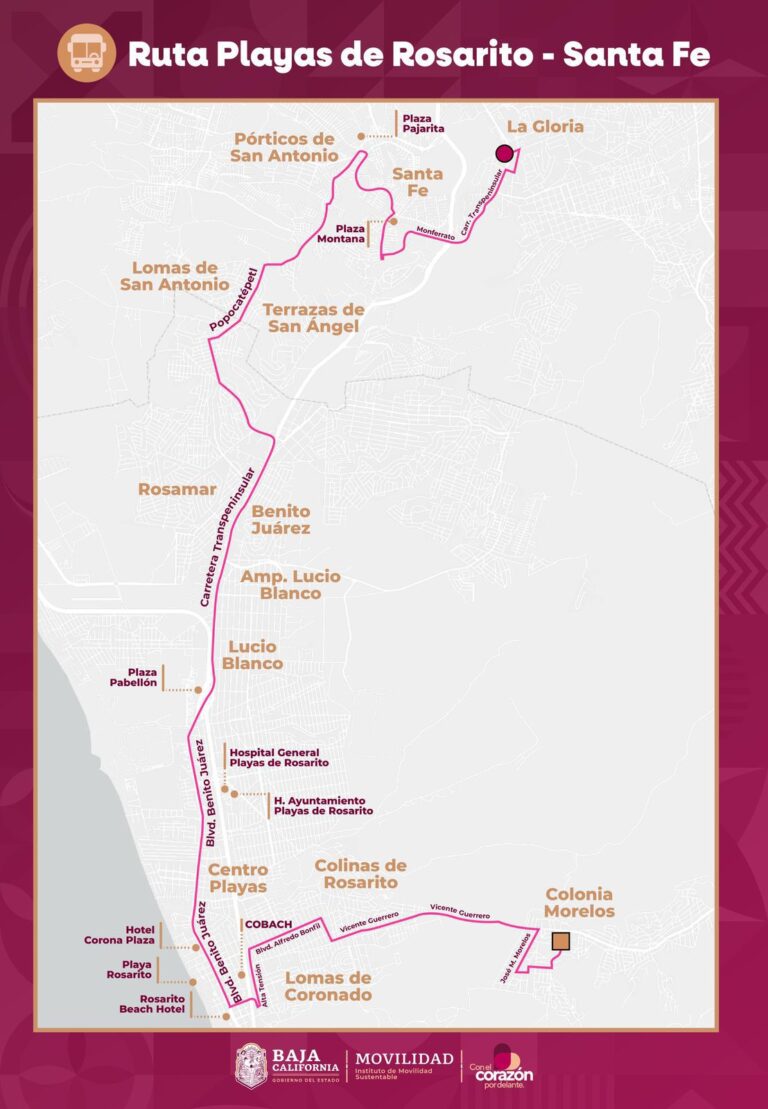 WhatsApp Image 2026-04-25 at 1.25.01 PM