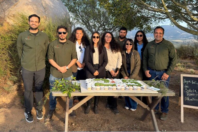 WhatsApp Image 2026-04-25 at 2.11.10 PM