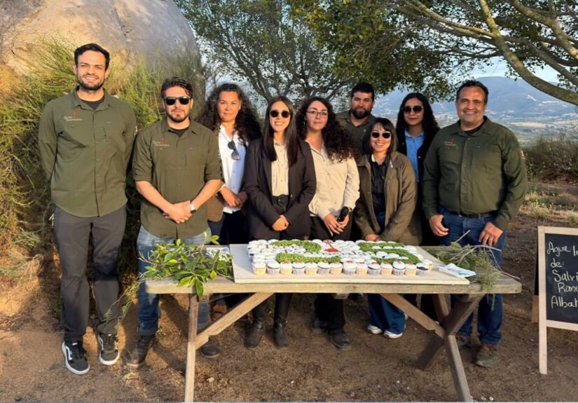 WhatsApp Image 2026-04-25 at 2.11.10 PM