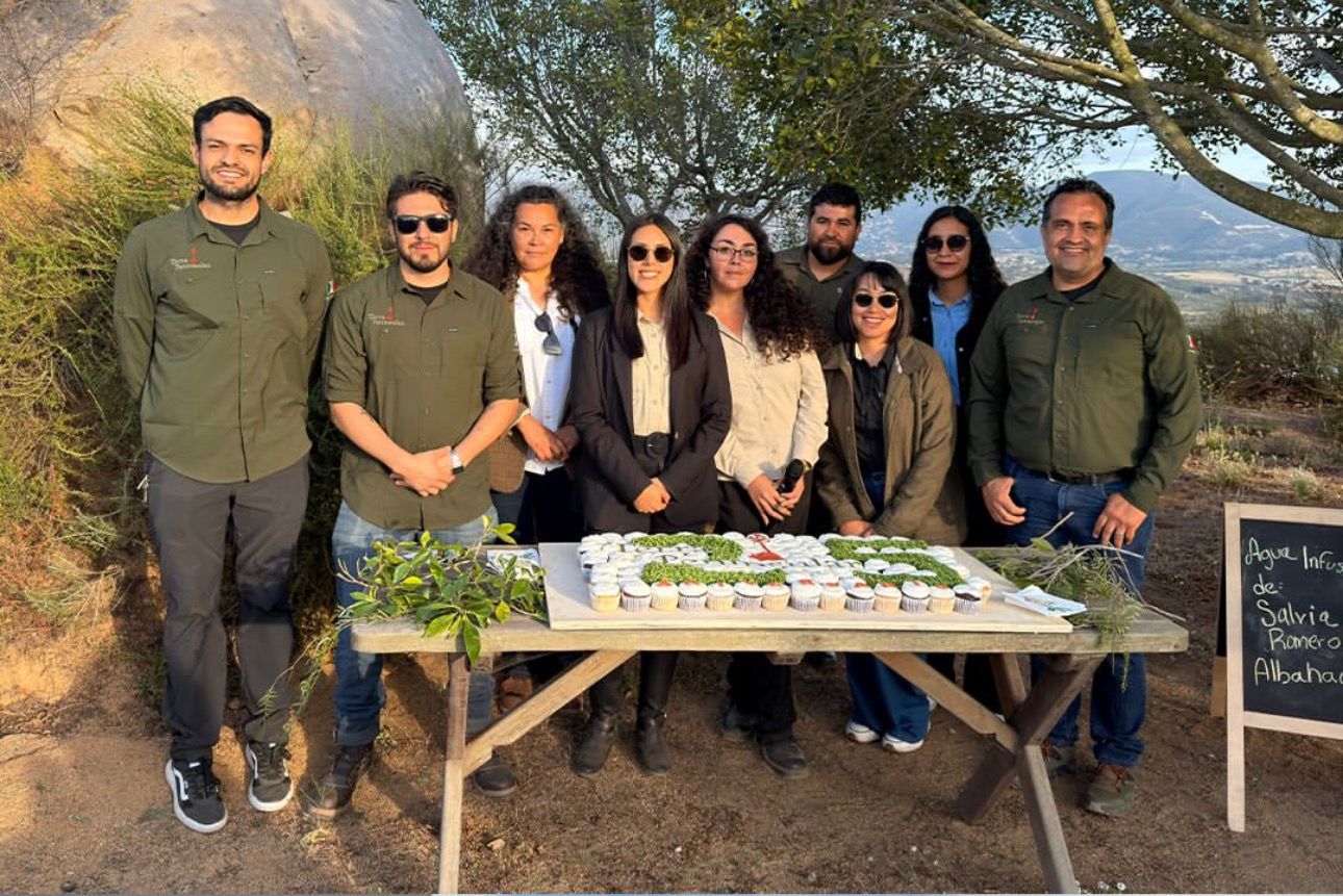 WhatsApp Image 2026-04-25 at 2.11.10 PM