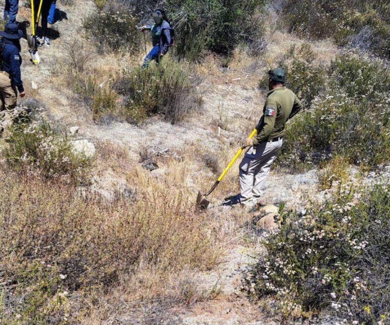 WhatsApp Image 2026-04-25 at 2.13.32 PM