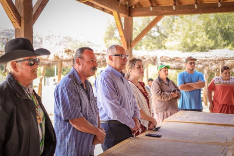 WhatsApp Image 2026-04-25 at 6.28.24 PM