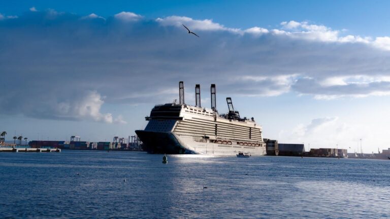 WhatsApp Image 2026-04-26 at 4.19.47 PM