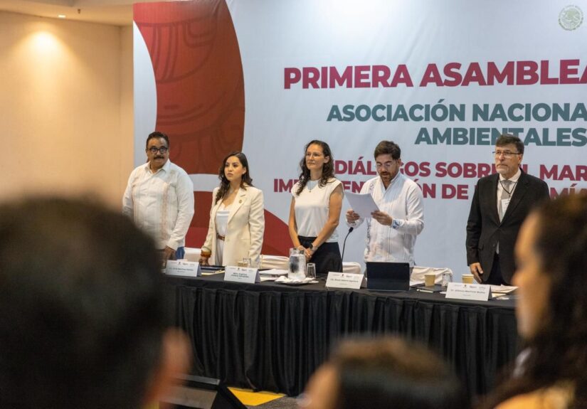 WhatsApp Image 2026-04-27 at 10.17.26 AM