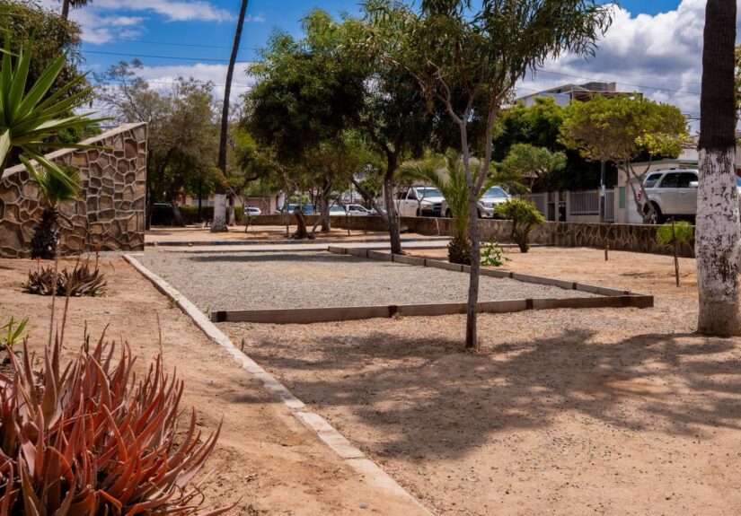 WhatsApp Image 2026-04-27 at 5.28.39 PM (1)