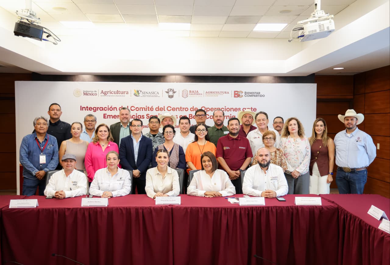 WhatsApp Image 2026-07-14 at 2.49.17 PM