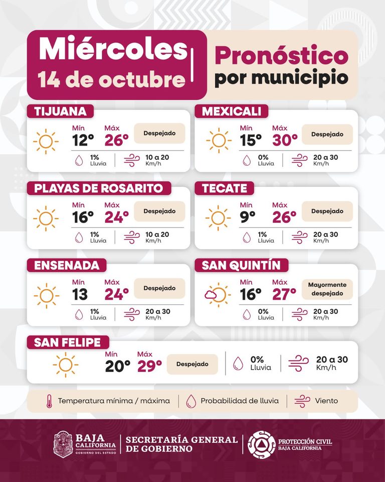WhatsApp Image 2026-10-14 at 3.36.43 PM